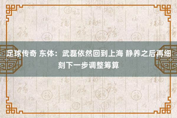 足球传奇 东体：武磊依然回到上海 静养之后再细刻下一步调整筹算