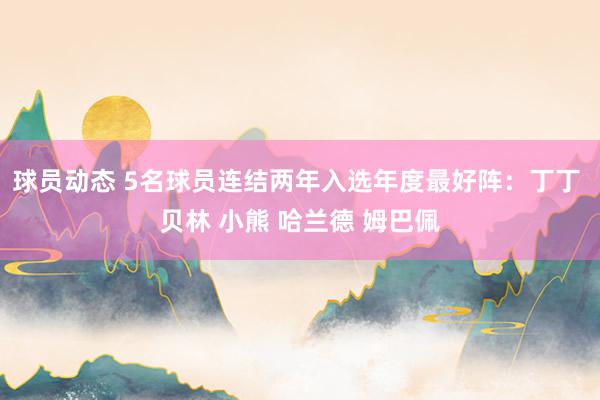 球员动态 5名球员连结两年入选年度最好阵：丁丁 贝林 小熊 哈兰德 姆巴佩