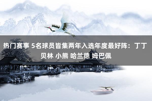 热门赛事 5名球员皆集两年入选年度最好阵：丁丁 贝林 小熊 哈兰德 姆巴佩